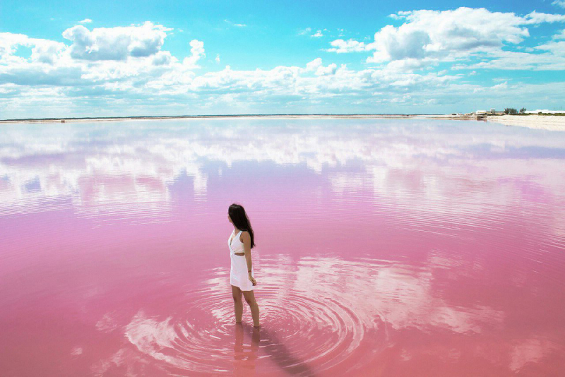 Розовое озеро в Крыму в Евпатории
