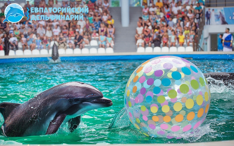Дельфинарий в Евпатории в Крыму